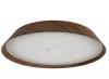 Noyer 510mm 40W Walnut Timber LED Oyster